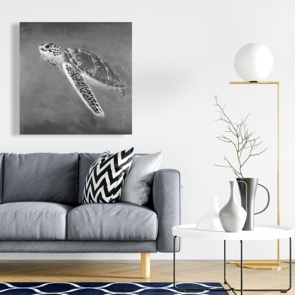 Grayscale sea turtle