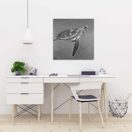 Grayscale aquatic turtle