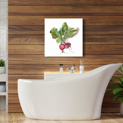 Watercolor radish