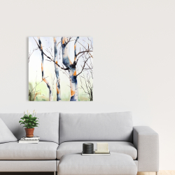 Canvas 24 x 24 - Three small birch trees