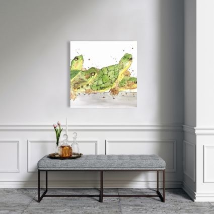 Small aquatic turtles