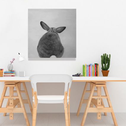Little rabbit from behind
