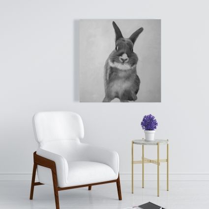 Funny gray rabbit
