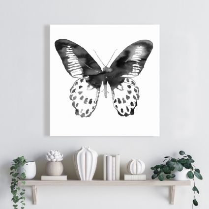 Black butterfly