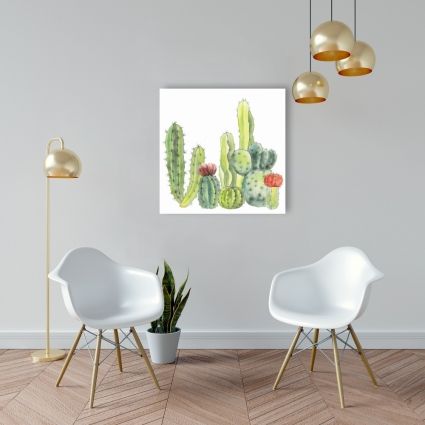 Small cactus