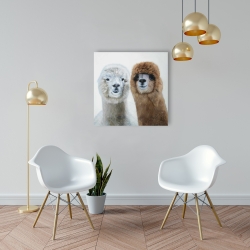 Canvas 24 x 24 - Two lamas