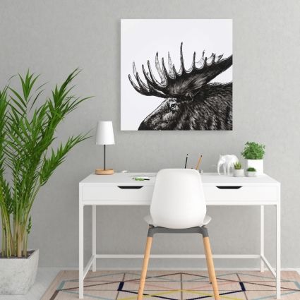 Moose plume