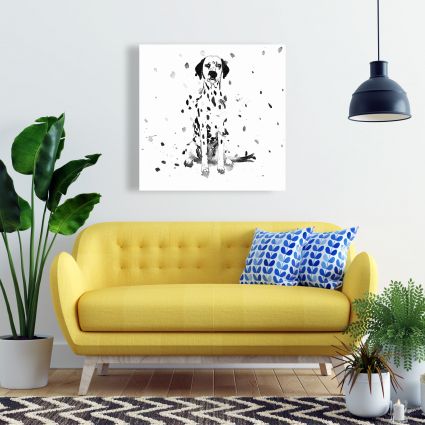 Dalmatian dog