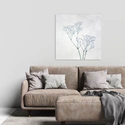 Canvas 24 x 24 - Baby's-breath flowers