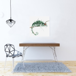 Canvas 24 x 24 - Chameleon on the lookout