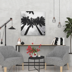 Canvas 24 x 24 - Monochrome palm trees