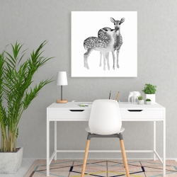 Canvas 24 x 24 - Fawns love