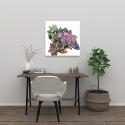 Toile 24 x 24 - Plant de succulents