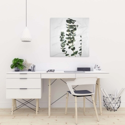 Canvas 24 x 24 - Eucalyptus stems