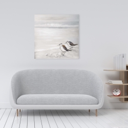 Canvas 24 x 24 - Two sandpipiers birds