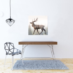 Canvas 24 x 24 - Large plume roe deer