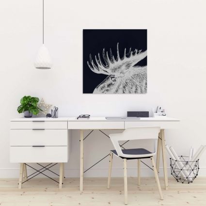 Big moose plume