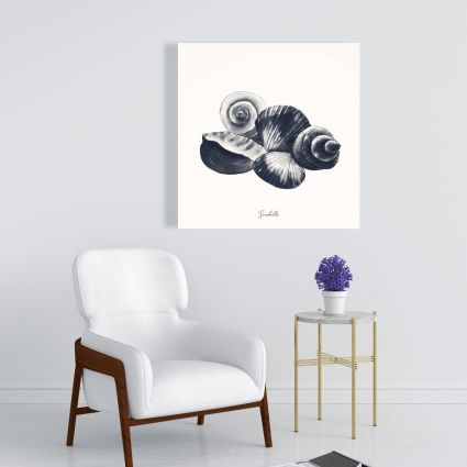 Coquillages de mer bleu