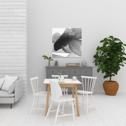 Canvas 24 x 24 - Monochrome two betta
