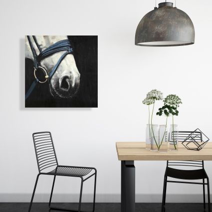 Horse with harness
