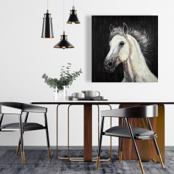 Canvas 24 x 24 - White star horse