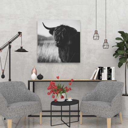 Beautiful monochrome highland cow
