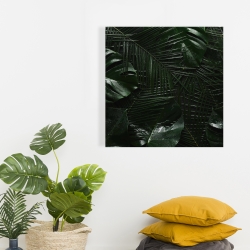 Canvas 24 x 24 - Tropical jungle
