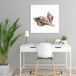 Toile 24 x 24 - Coquillage de conque de cheval neutre