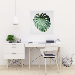 Canvas 24 x 24 - Monstera leaf