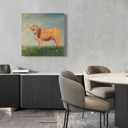 Daisy la vache highland