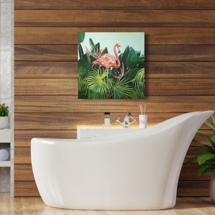 Flamant rose tropical