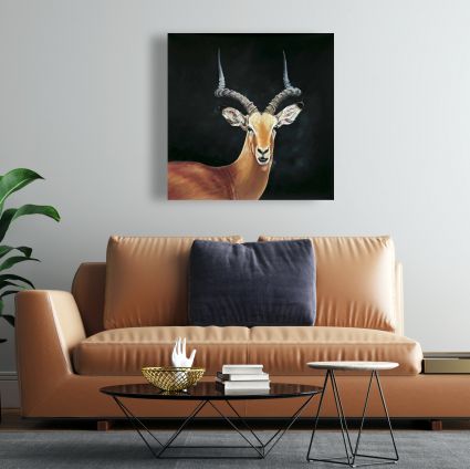 Antilope