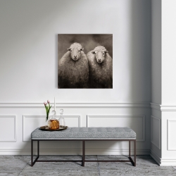Toile 24 x 24 - Moutons sépia