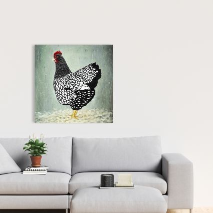 Poule wyandotte