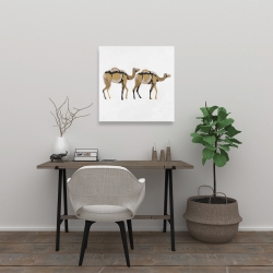 Canvas 24 x 24 - Two abstract dromadars