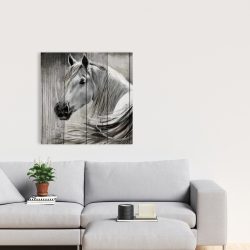 Canvas 24 x 24 - Rustic horse