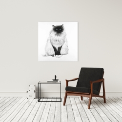 Canvas 24 x 24 - Blue eyes fluffy siamese cat