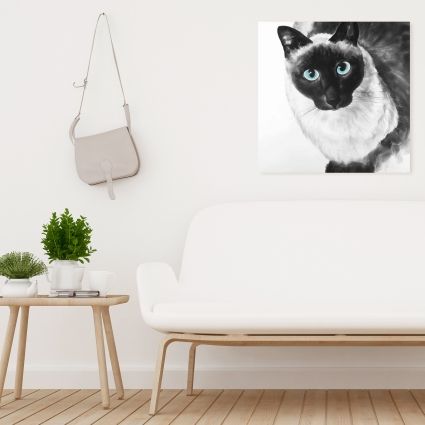 Blue eyes siamese cat