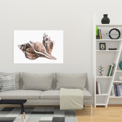 Toile 24 x 36 - Coquillage de conque de cheval neutre
