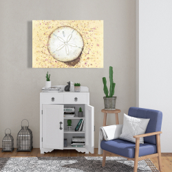 Toile 24 x 36 - Dollars des sables