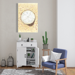 Toile 24 x 36 - Dollars des sables