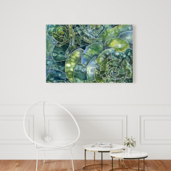 Toile 24 x 36 - Succulents abstrait