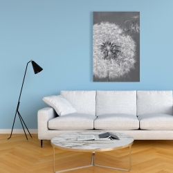 Canvas 24 x 36 - Blowing dandelion