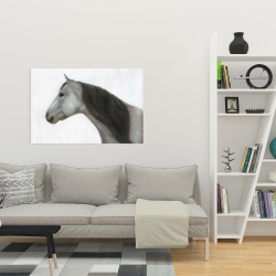 Canvas 24 x 36 - Winter horse