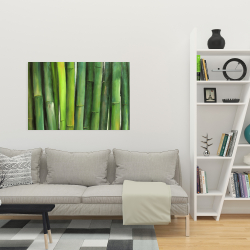 Canvas 24 x 36 - Green bamboo