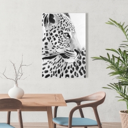 Canvas 24 x 36 - Beautiful leopard