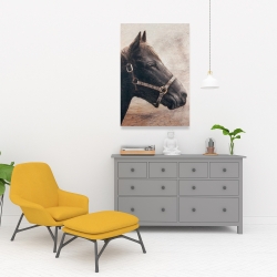 Toile 24 x 36 - Gallopin le cheval brun