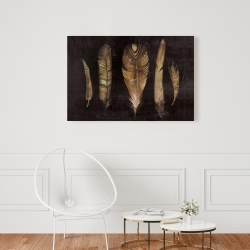 Toile 24 x 36 - Ensemble de plumes brunes