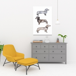 Canvas 24 x 36 - Dachshund dogs
