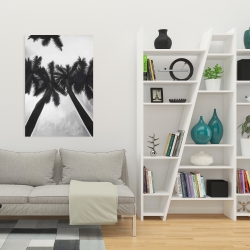 Canvas 24 x 36 - Monochrome palm trees